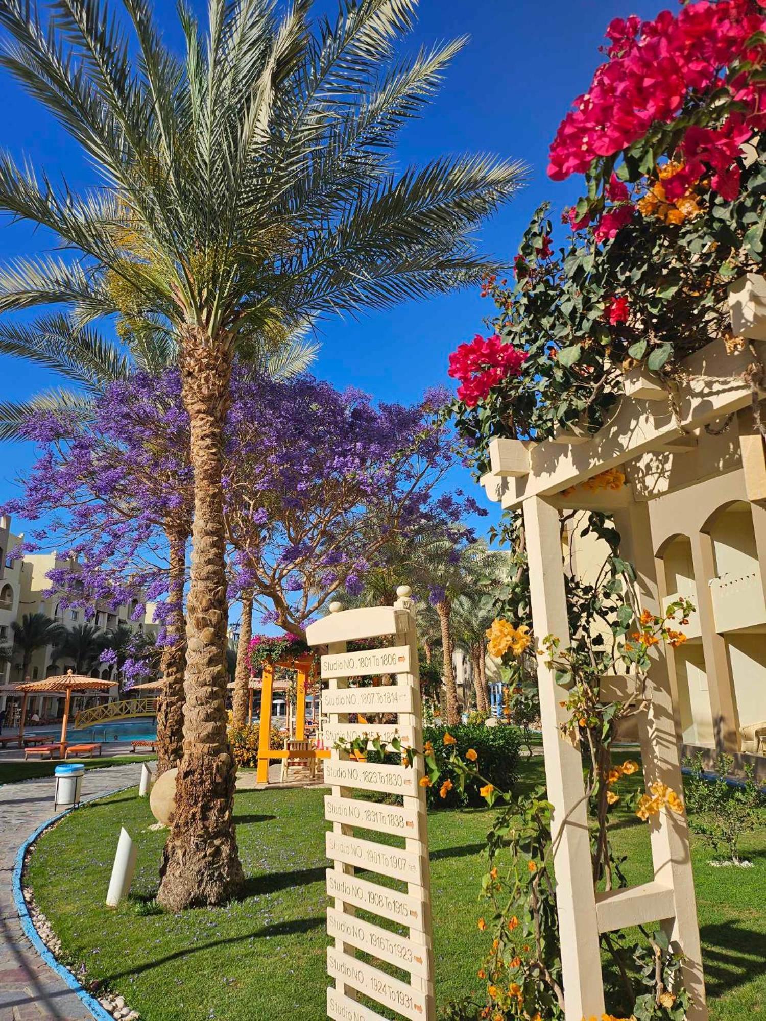 Comfortable Studio In Hotel Karma With Private Beach And Pools Family Only Or Female Hurghada Exterior photo